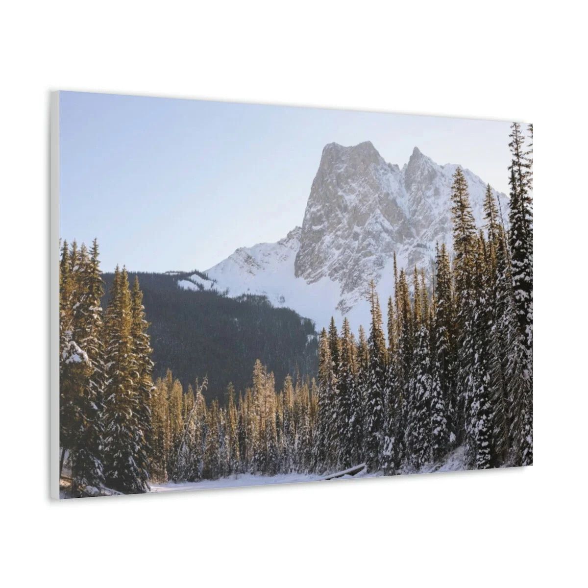 5f597deeded79dcee22fe0e6ea77a172