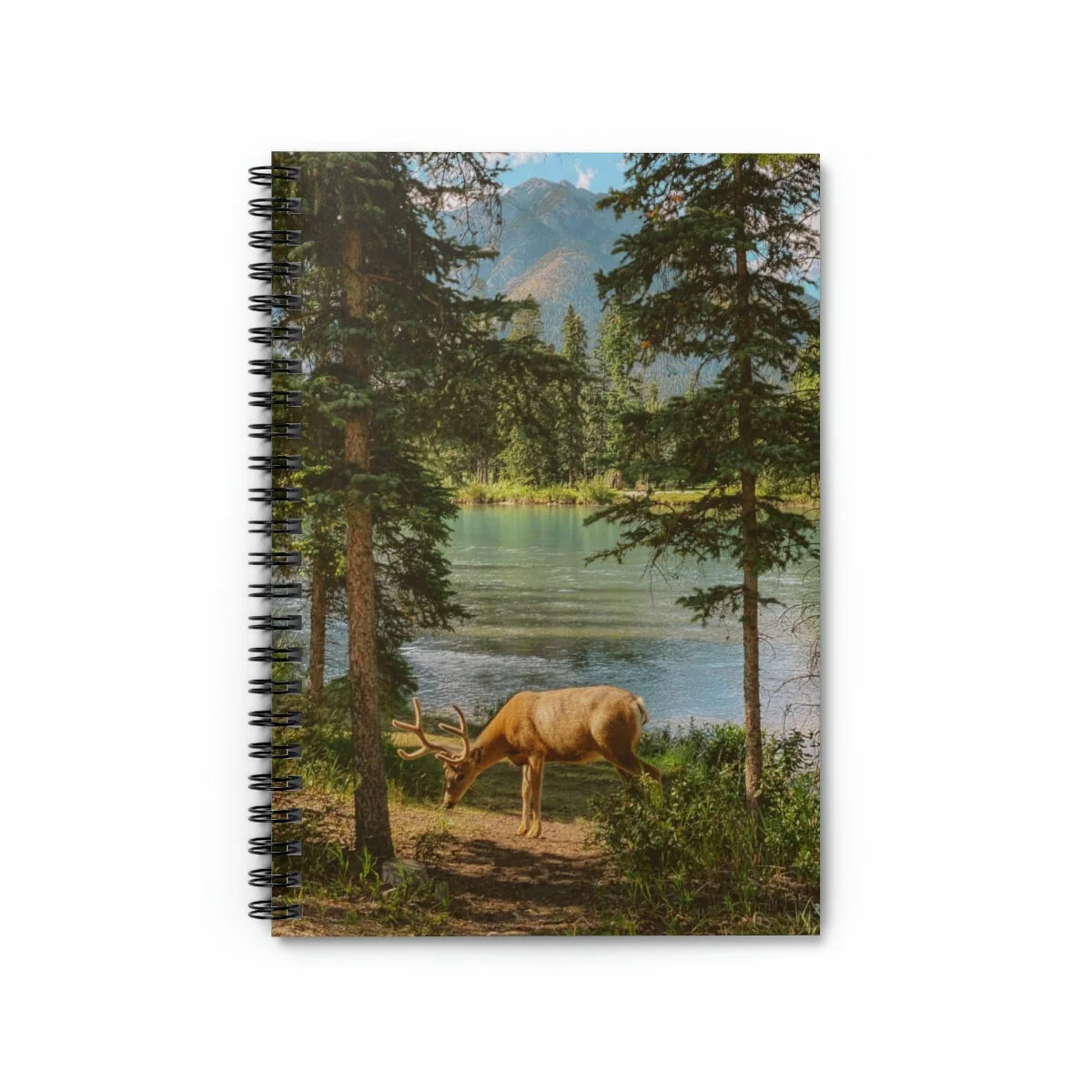 8edde09ea0c117abacbb8e05fbb8c779