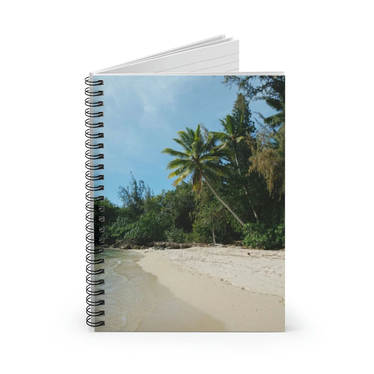 18872a276b1ad9fa5cd3875c651ae355