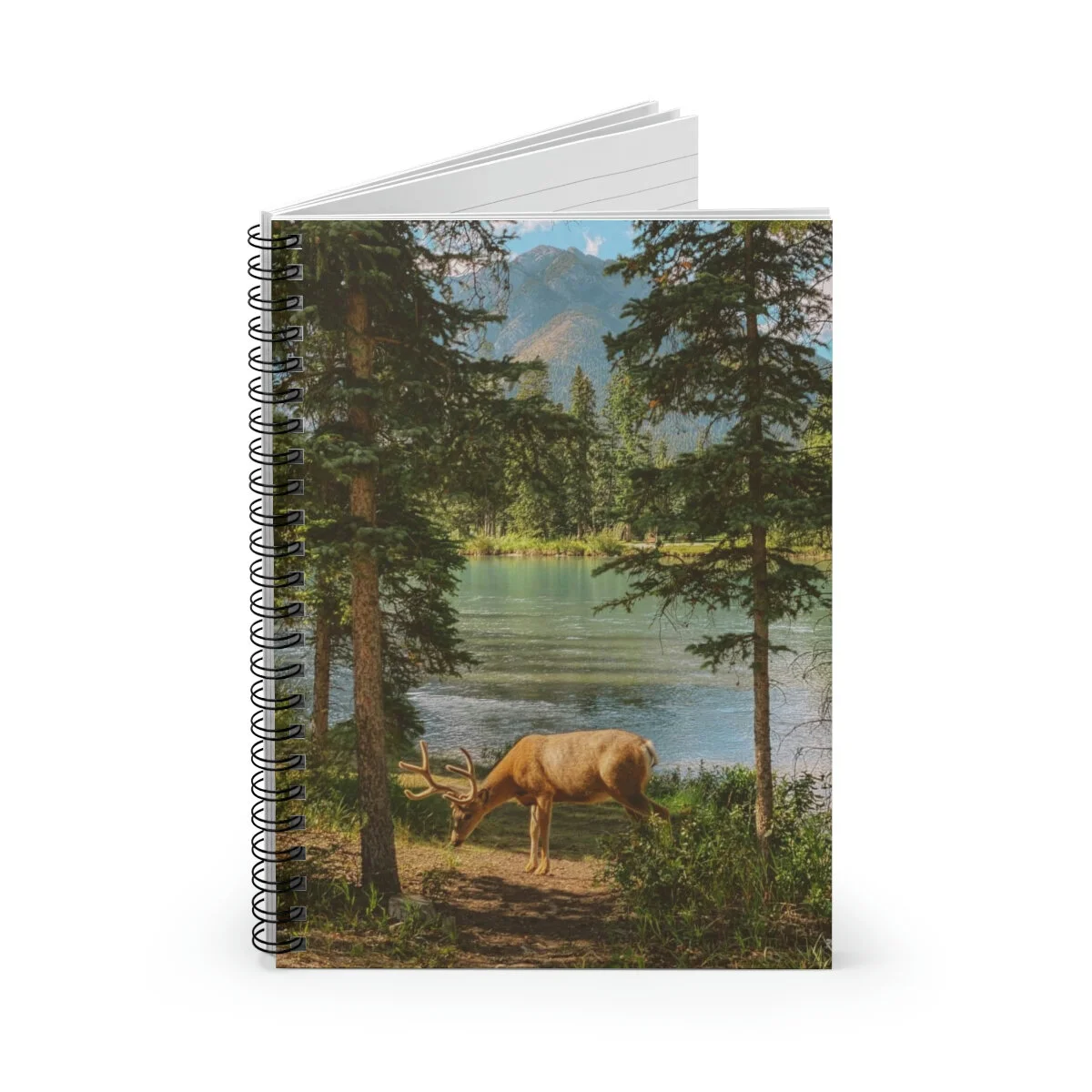 88d13d2ba97b8eb71f536114dcd554b1