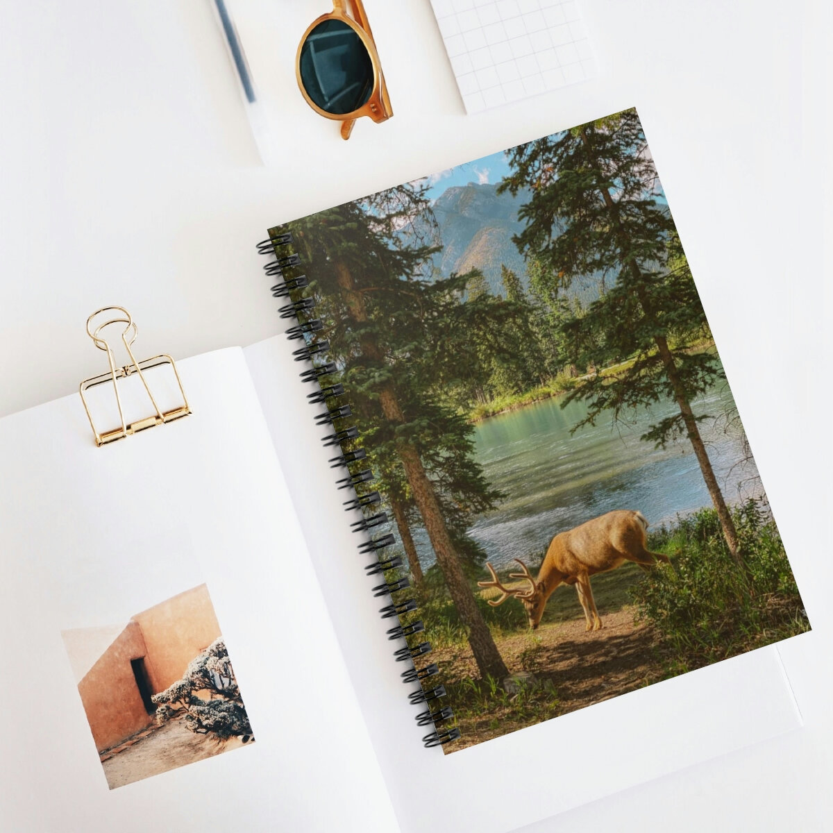 e4ab069c51ae9cad8a304d2f2149c242