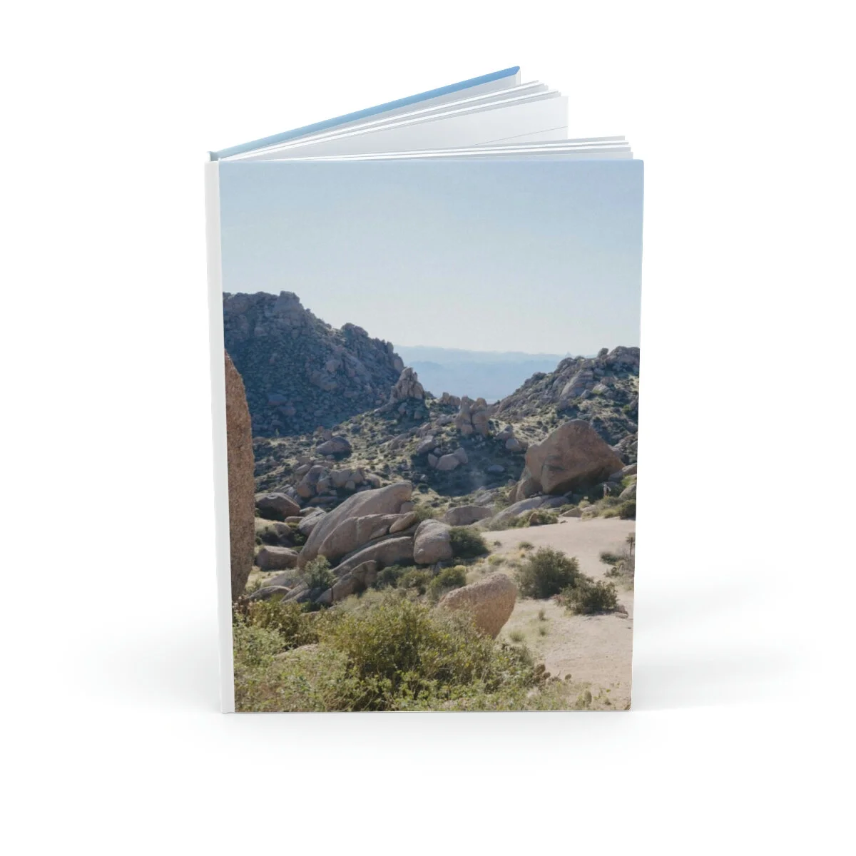 2ff4ba0fc972f8a2442cebb04d01d8cb