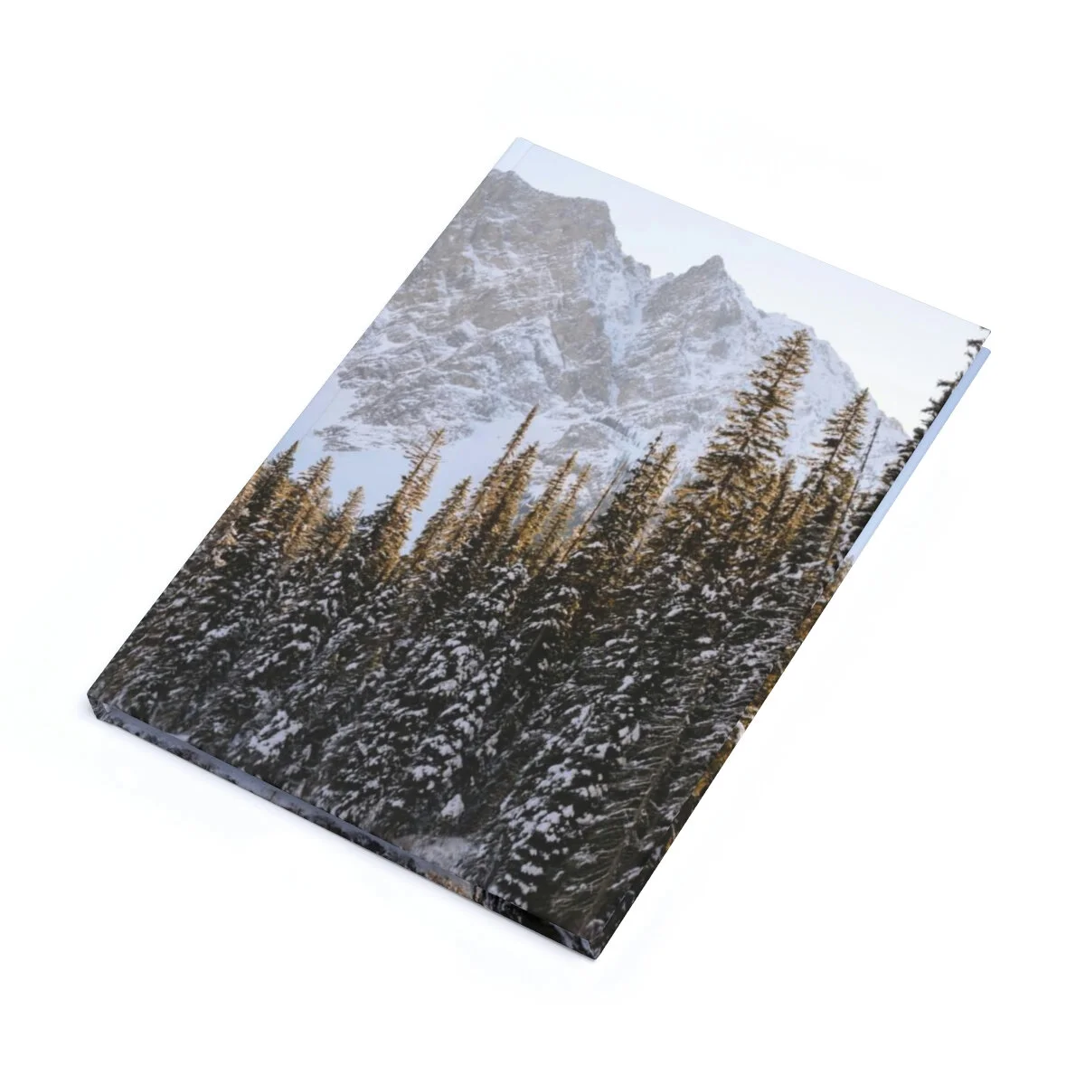 179ce4ba4f60f871e96c4719ea79561f