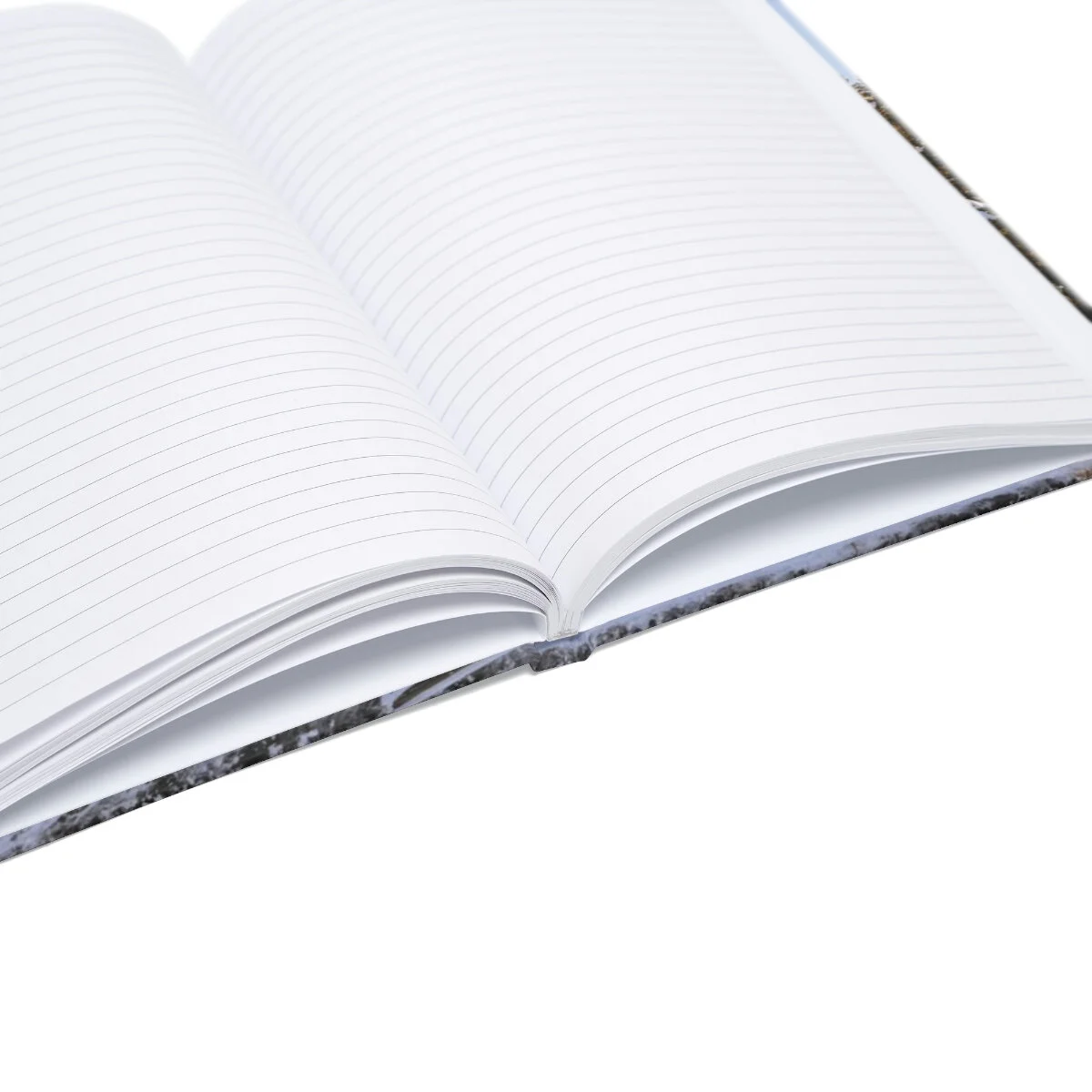 de9b3c5f38abf7662adca516ca3ebe31