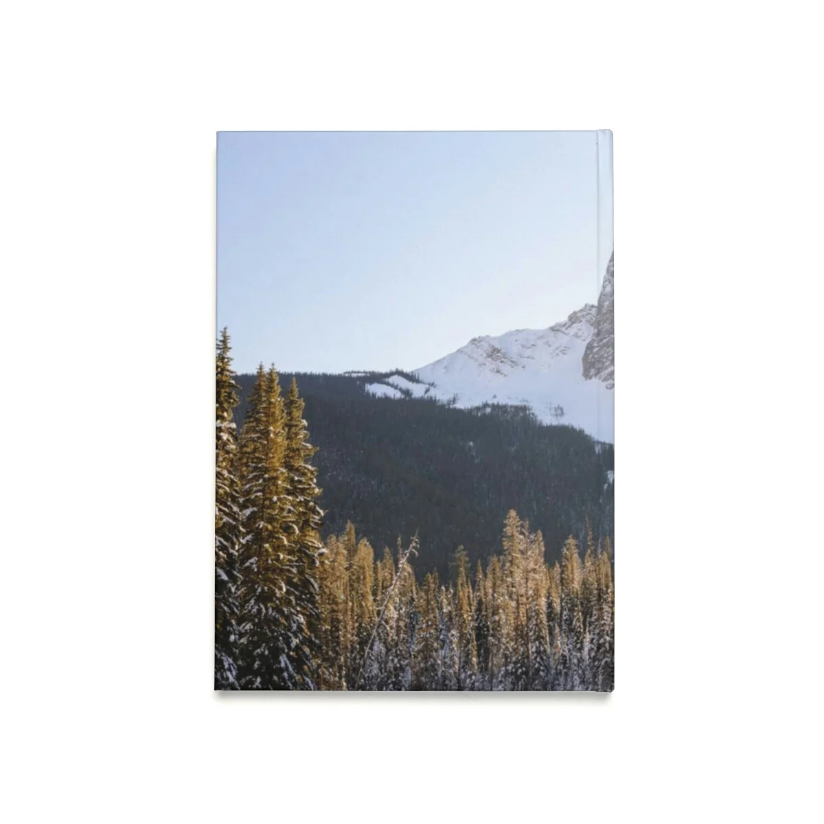 39c9d0efa283b48e3c41f6cb47fd820c