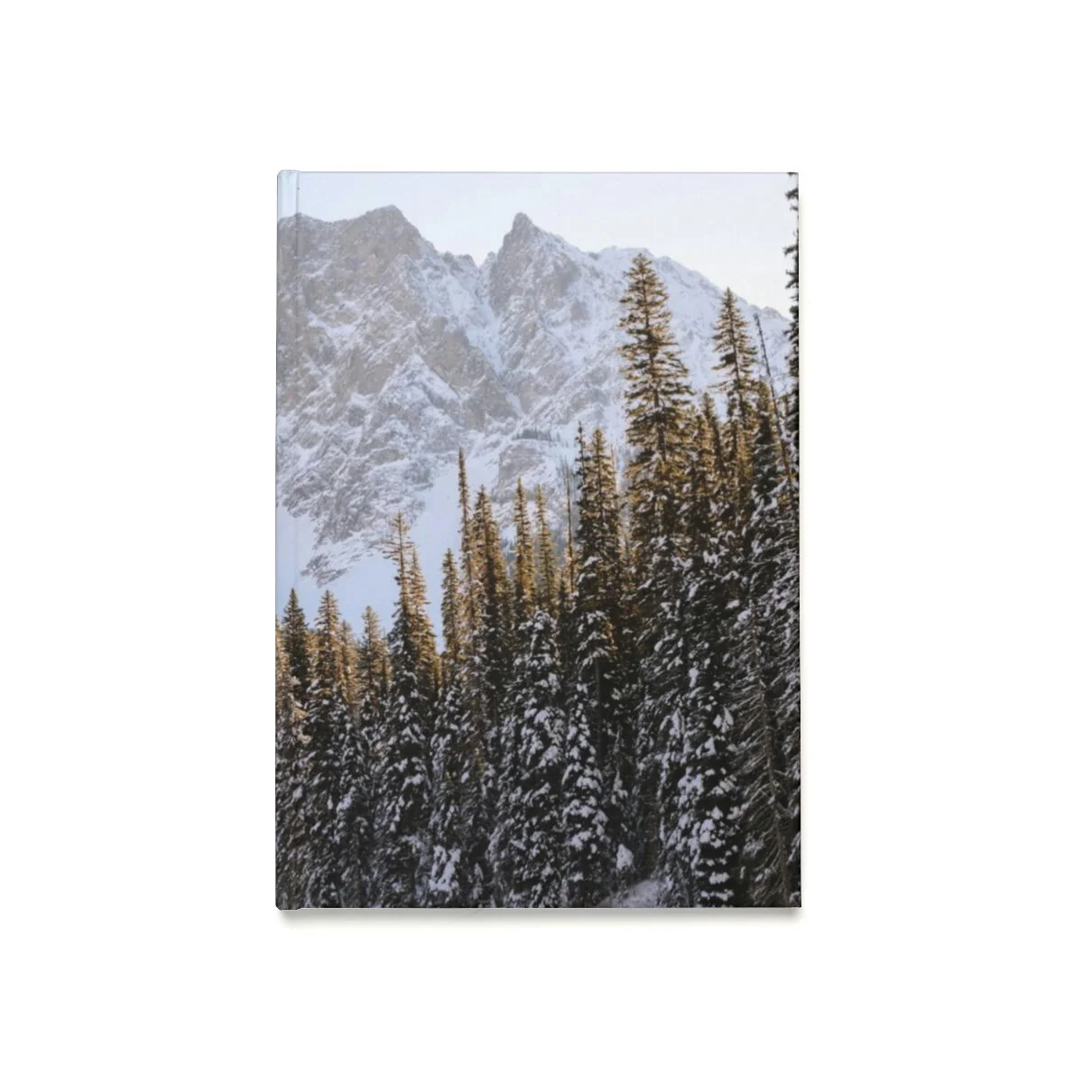 b26933d2a2d6a0d7339e02eb9c115c61