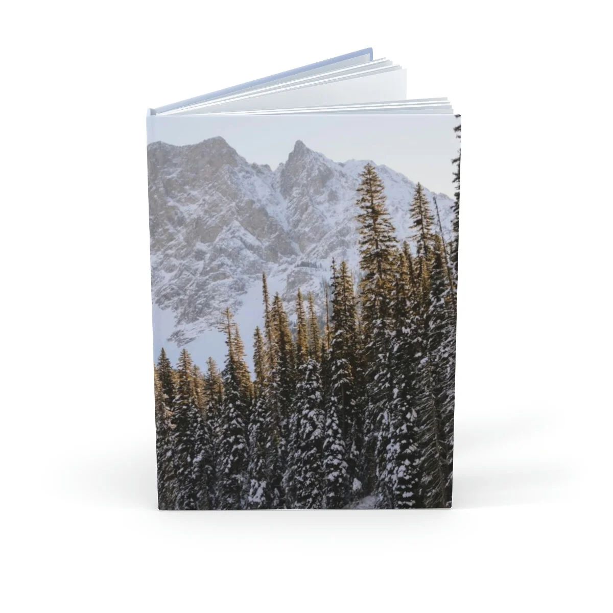 fb15060b34971bfb79ae451427c3bf2c