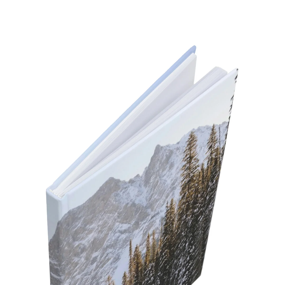 a40576cf7d583c80015c6559df97e47e