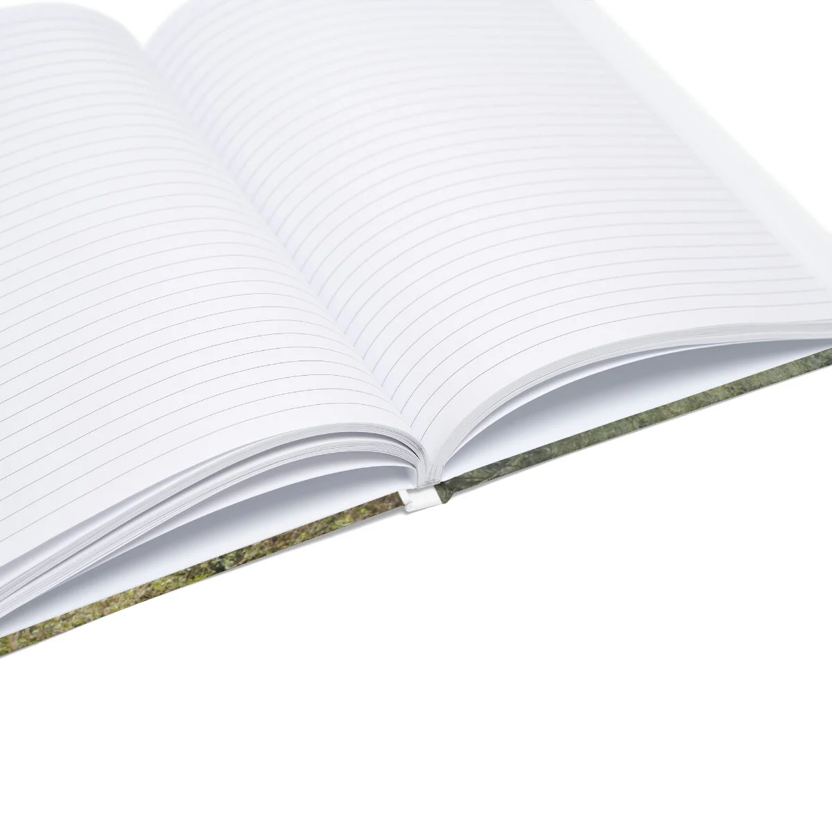 0bbae2f8cf3c6a90ac61953b2d132aef