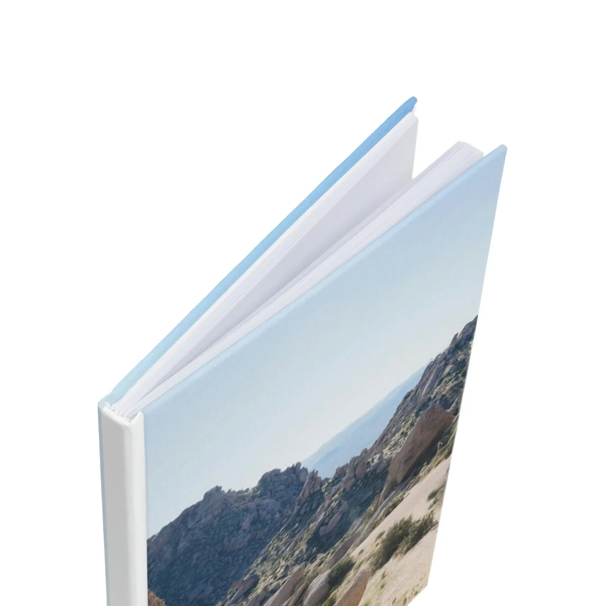 43a79f7f74bfba7d492436be928ad1b8