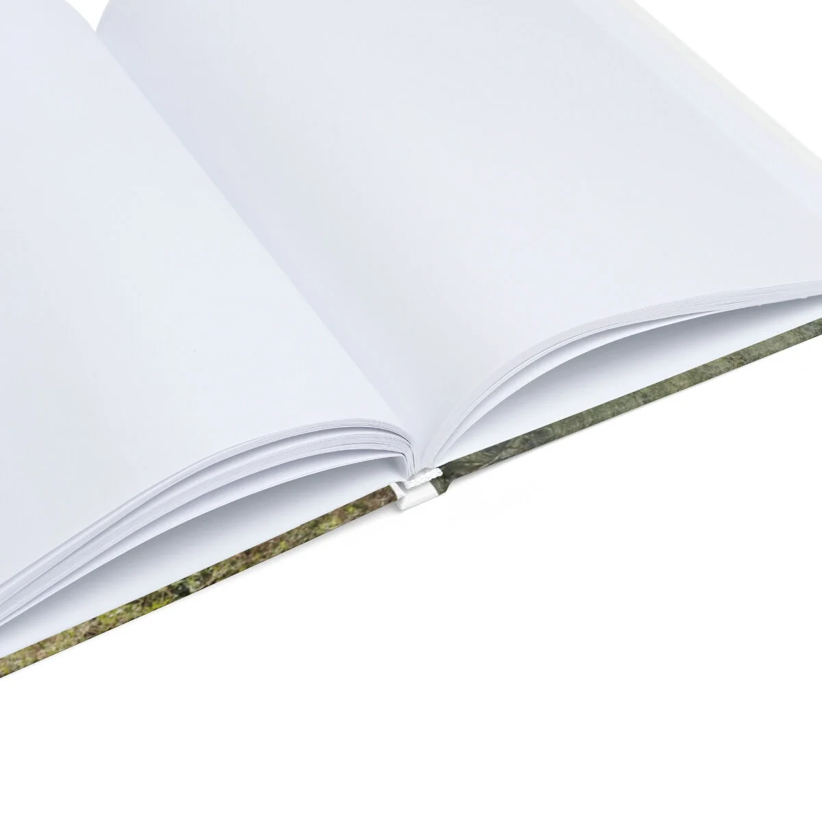 3a3979fd39032fc1cbdb08c9a13402a1