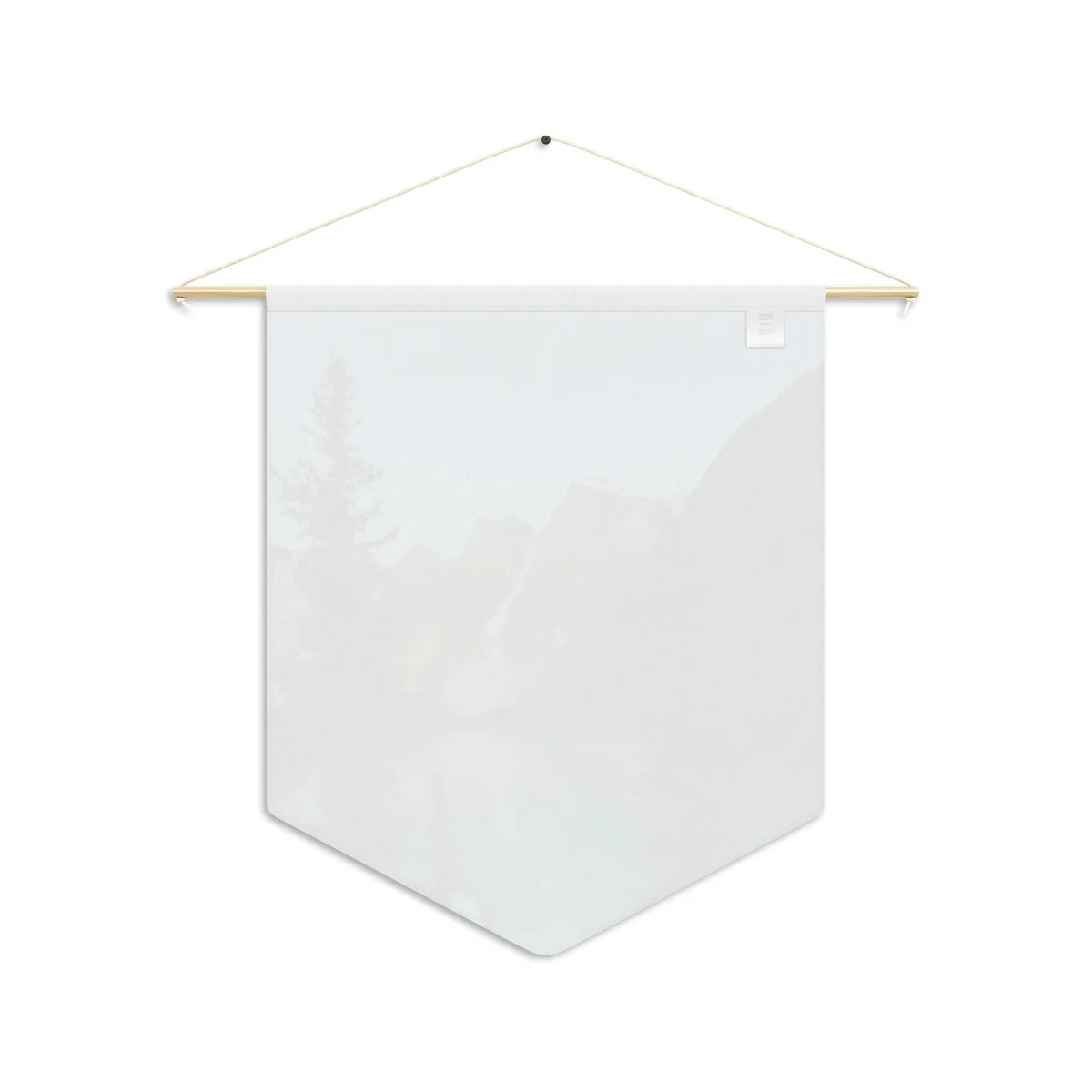 b407e44ef2c678d01b299a17b6f079a1