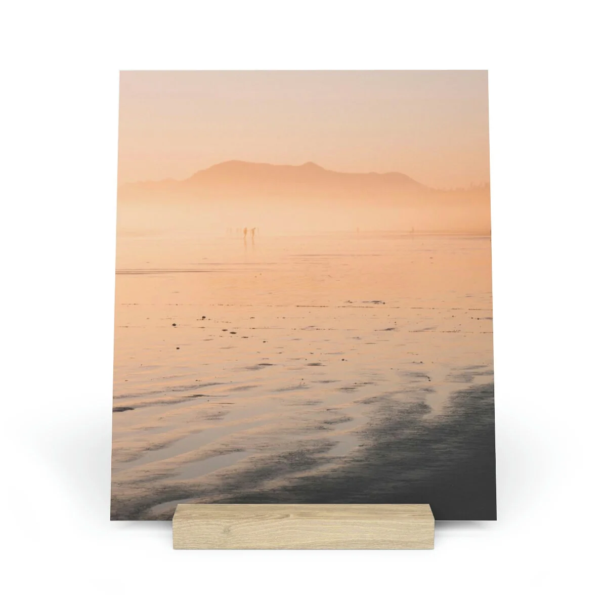 2d286a03a8cb631576b32d2c35741499