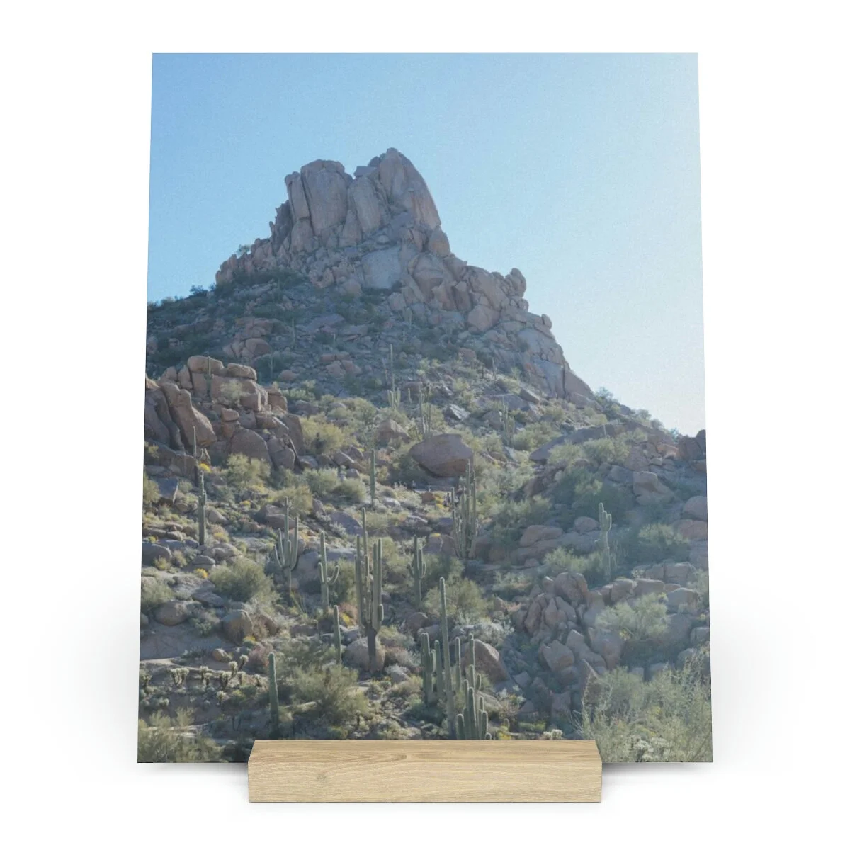 8cef014eeea0c0c9eb14a783cee20707