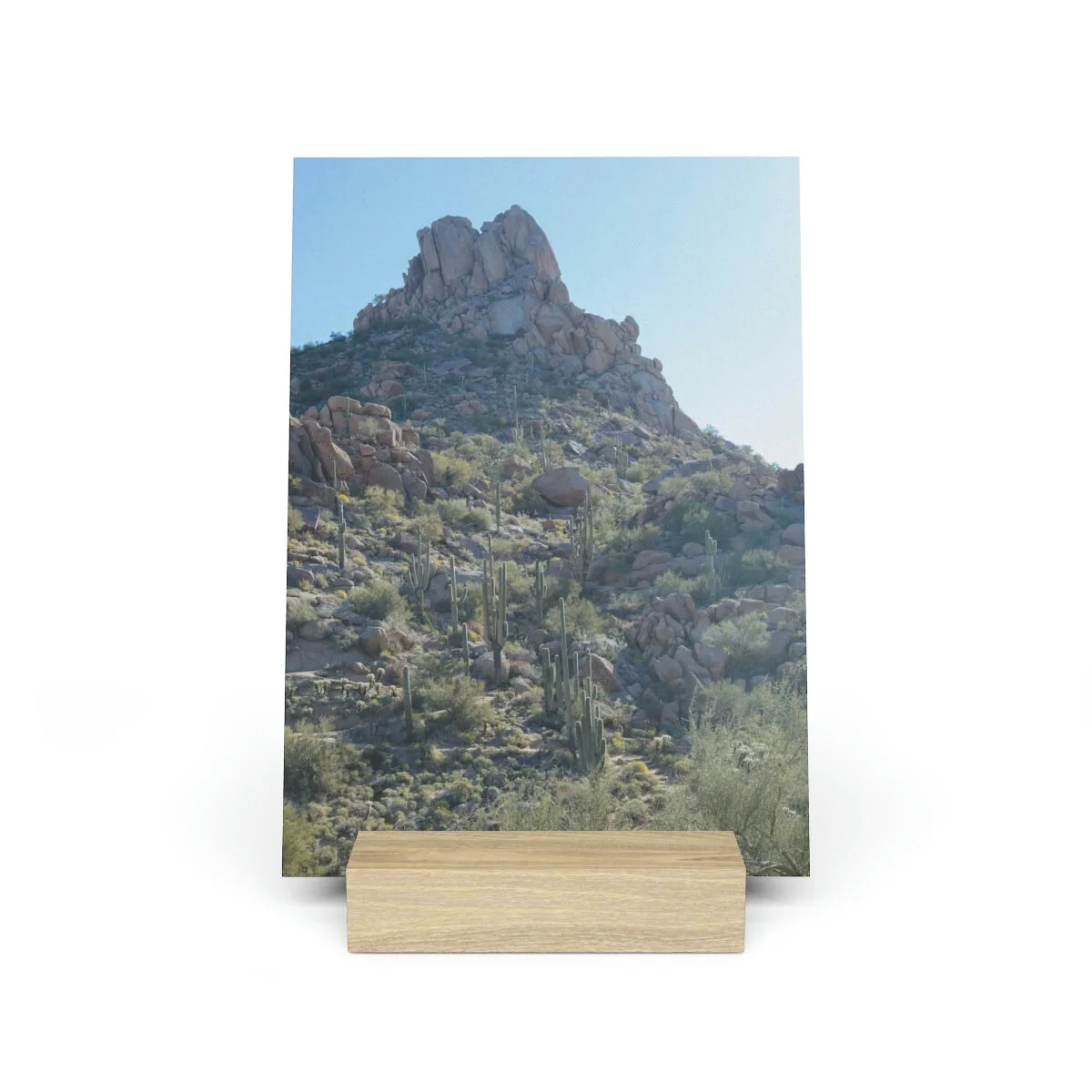 ead0ccaee6cff676ea02ca9ed435b82d