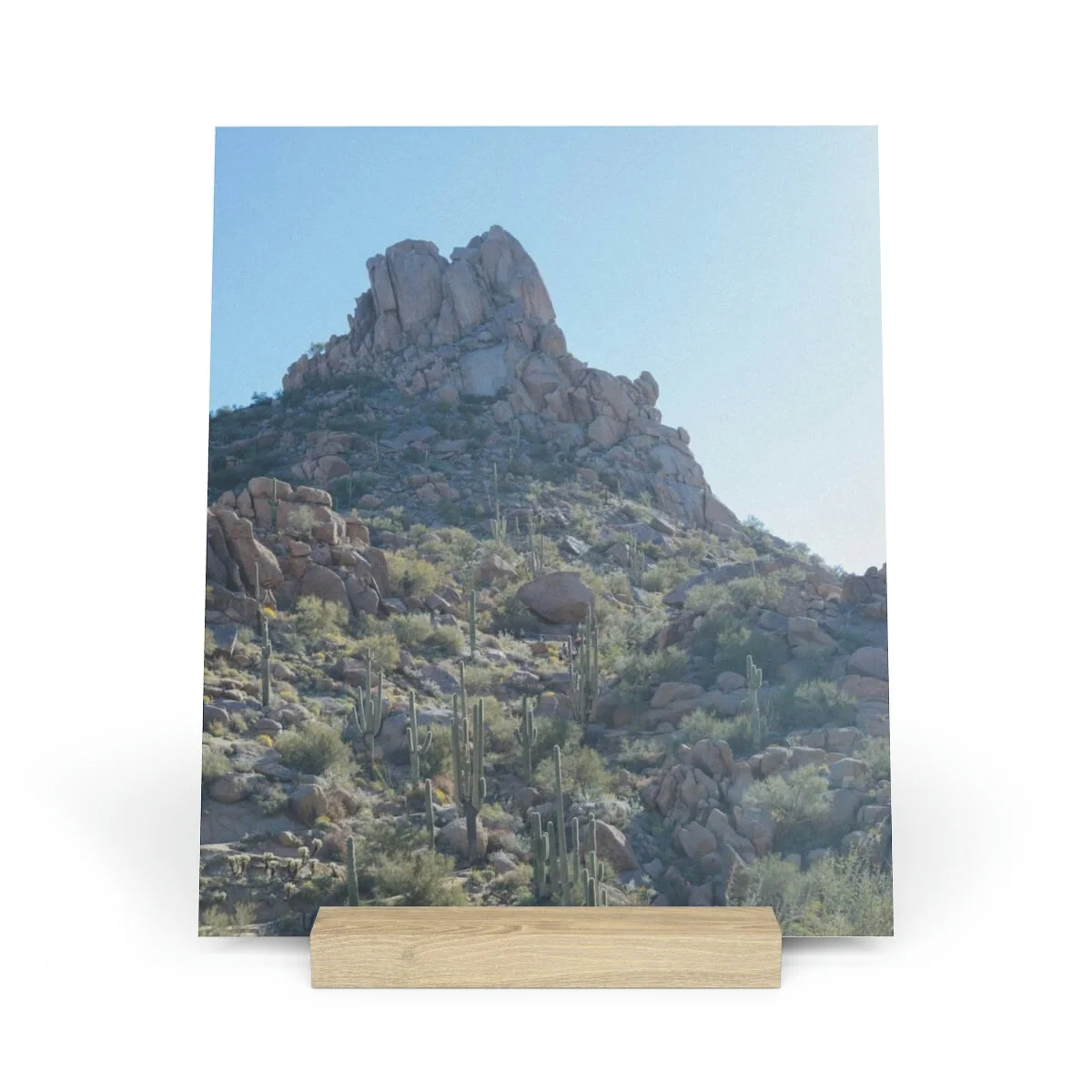 25e478d0836fb81b66c65f918ba8717a