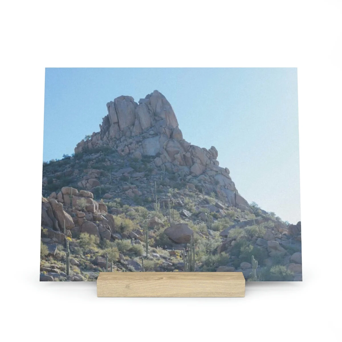 af4ec6d1c113142a6de67d28ef4bdcb1