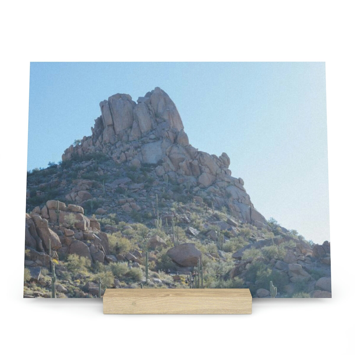 45a4fab80dd99a69359ecec1d5efdce8