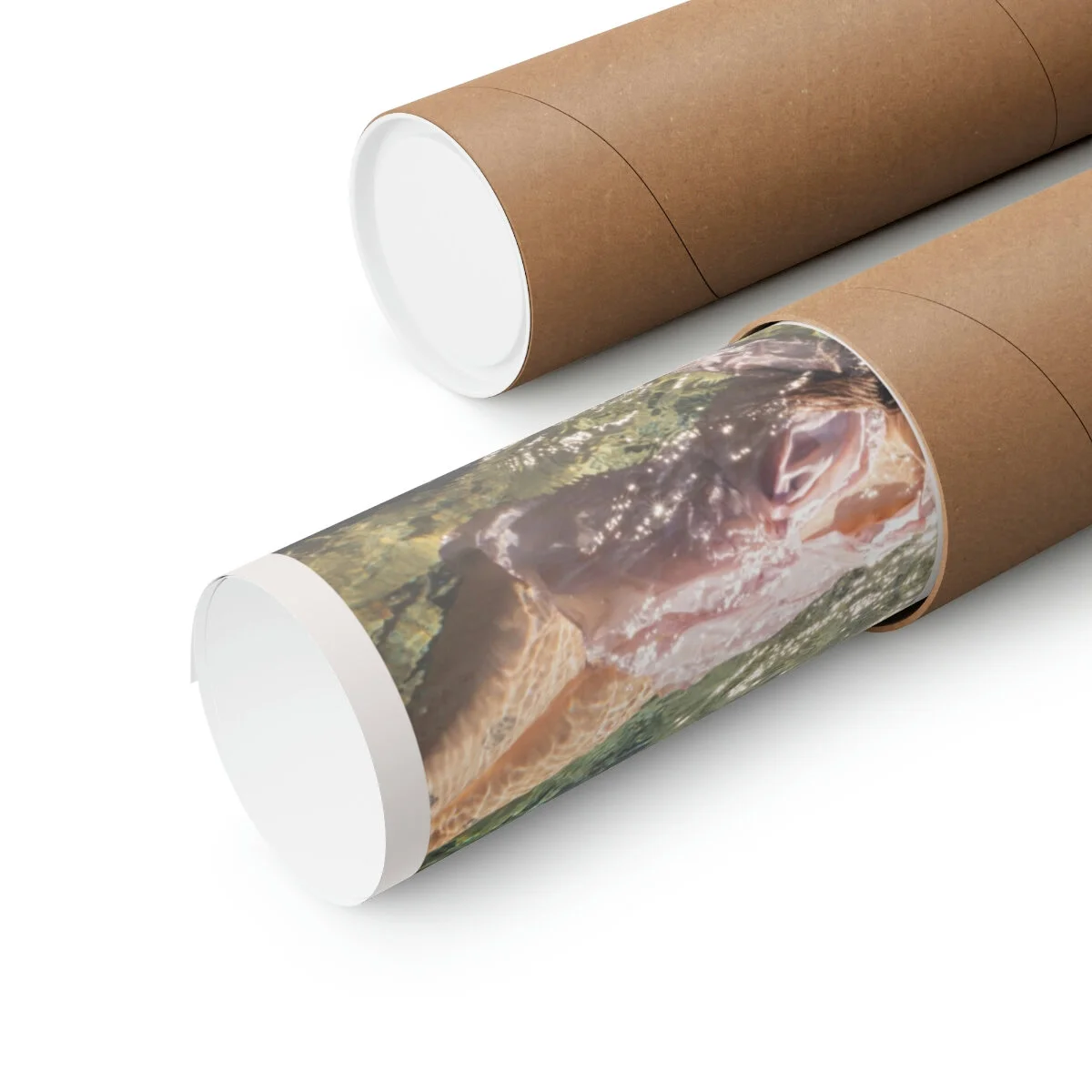 a009110a1a719139b33541aa444bb7ba