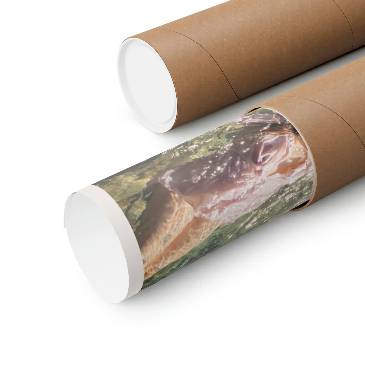 1f9491115ea988637f3e397b346e48c9