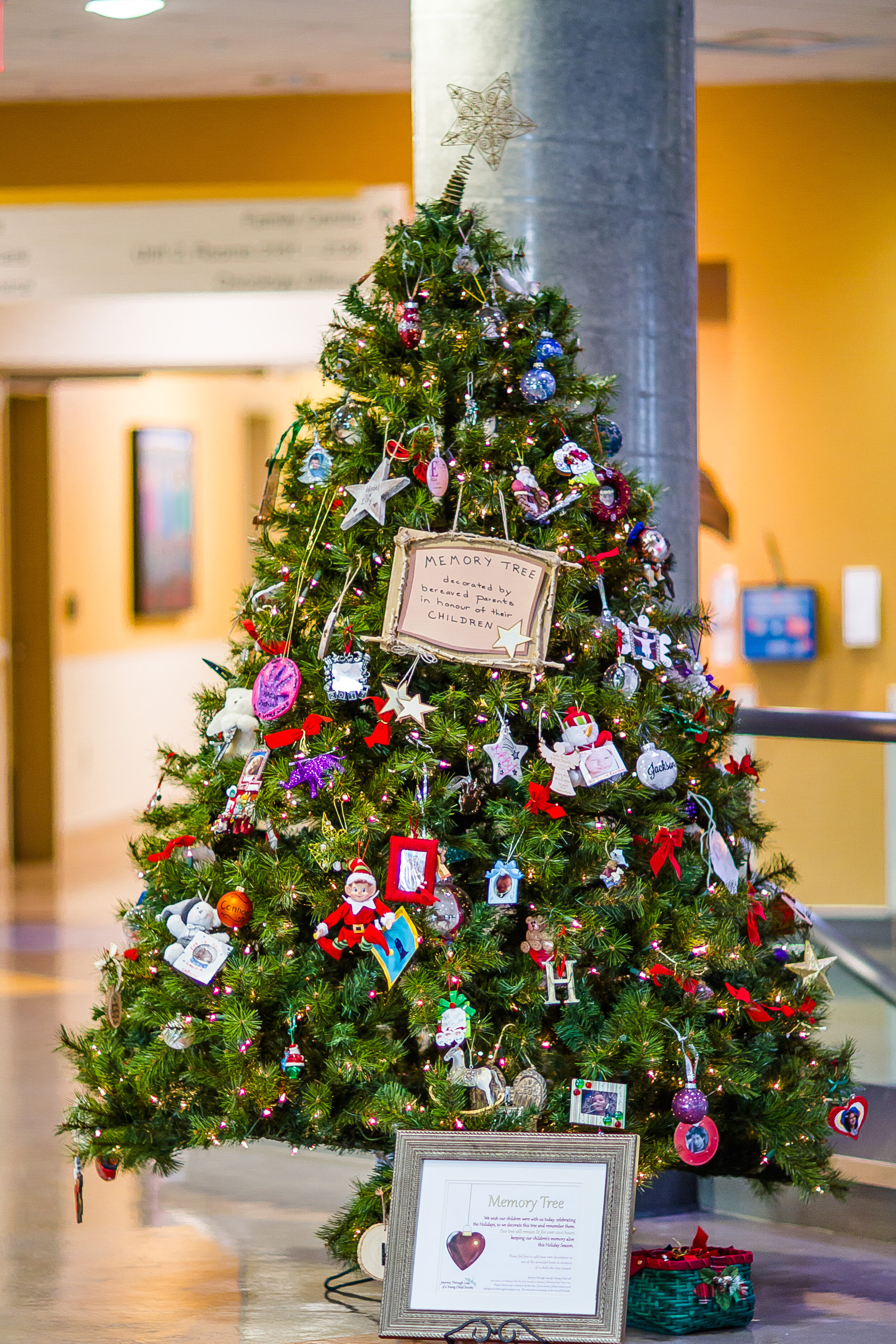 Memory Tree 2018 Photo by i.L.i.t Photography