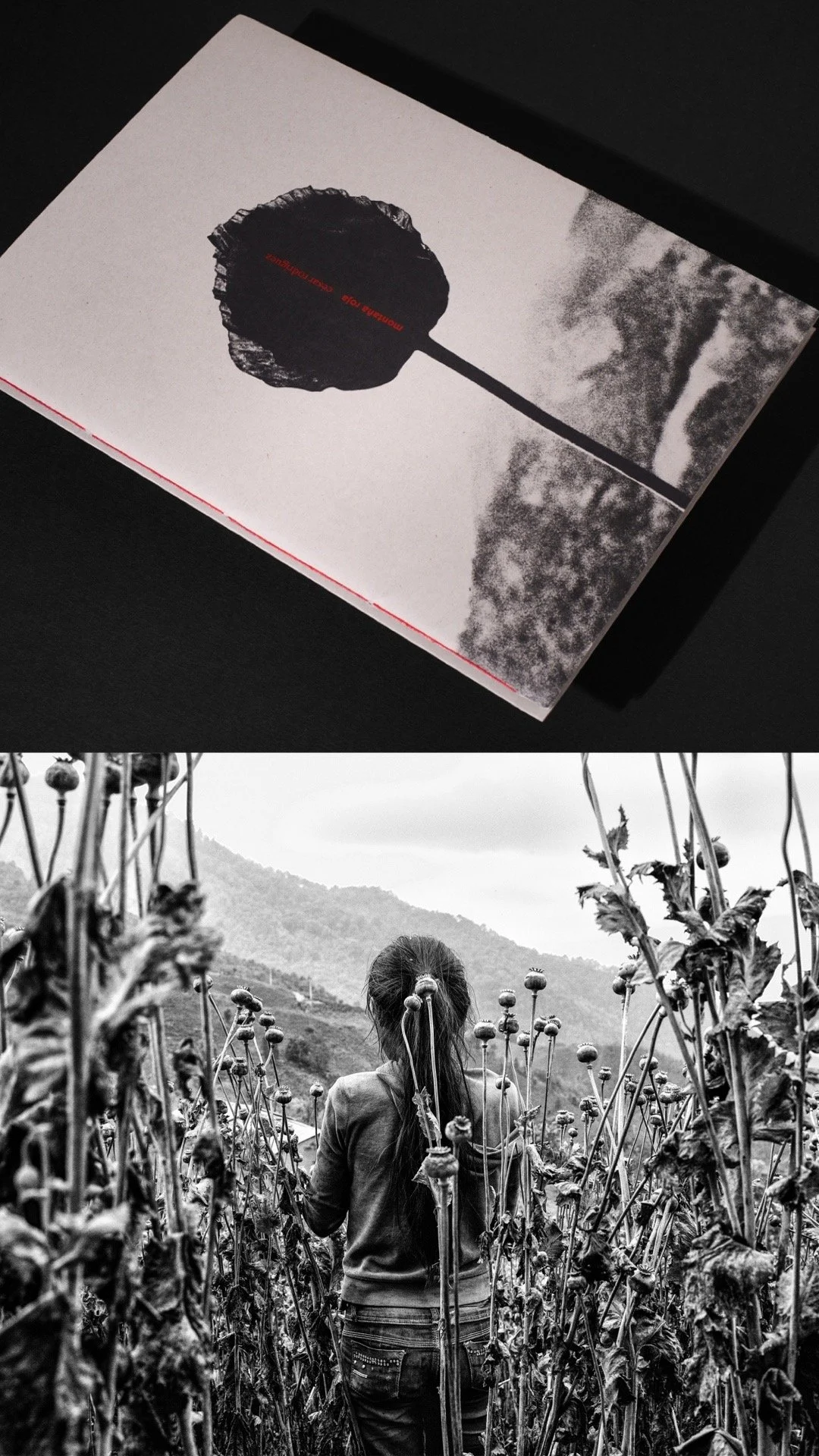 Montaña Roja Photobook signed + One 30cm x 40cm poster (Sold out)