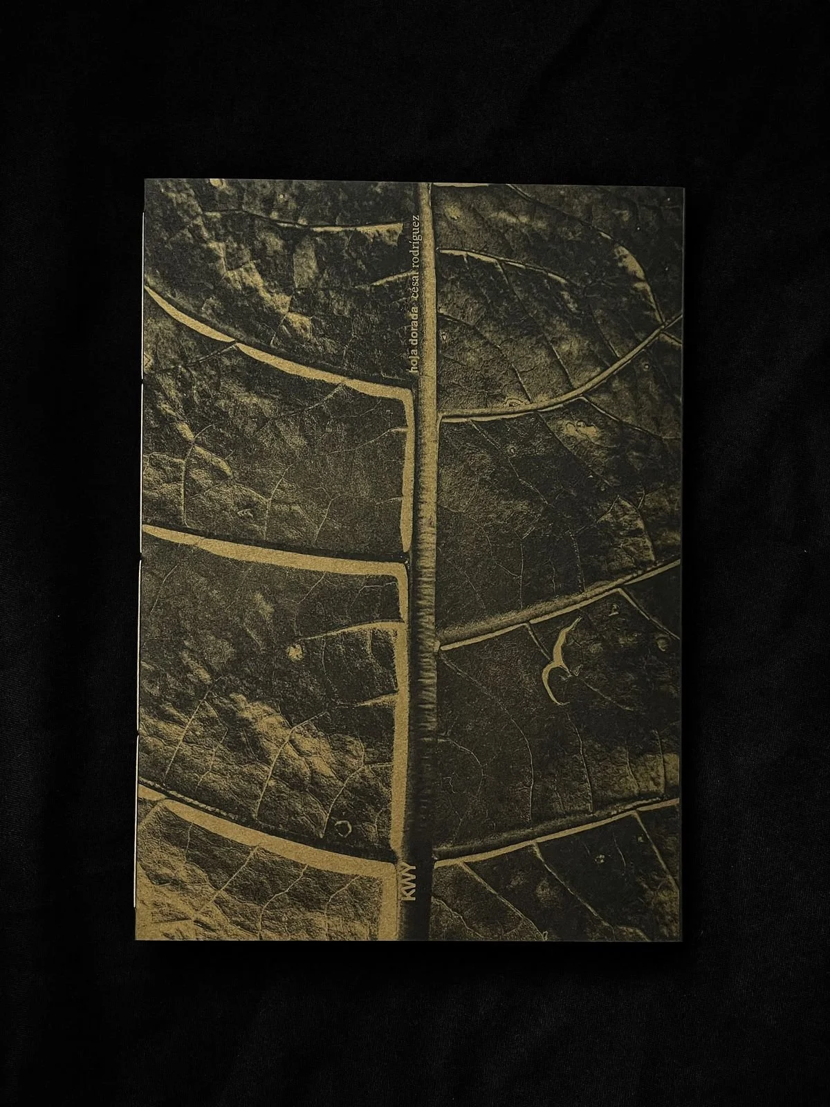 f70836a3-1772-4229-b89e-45e16bb2fbe5 2.JPG