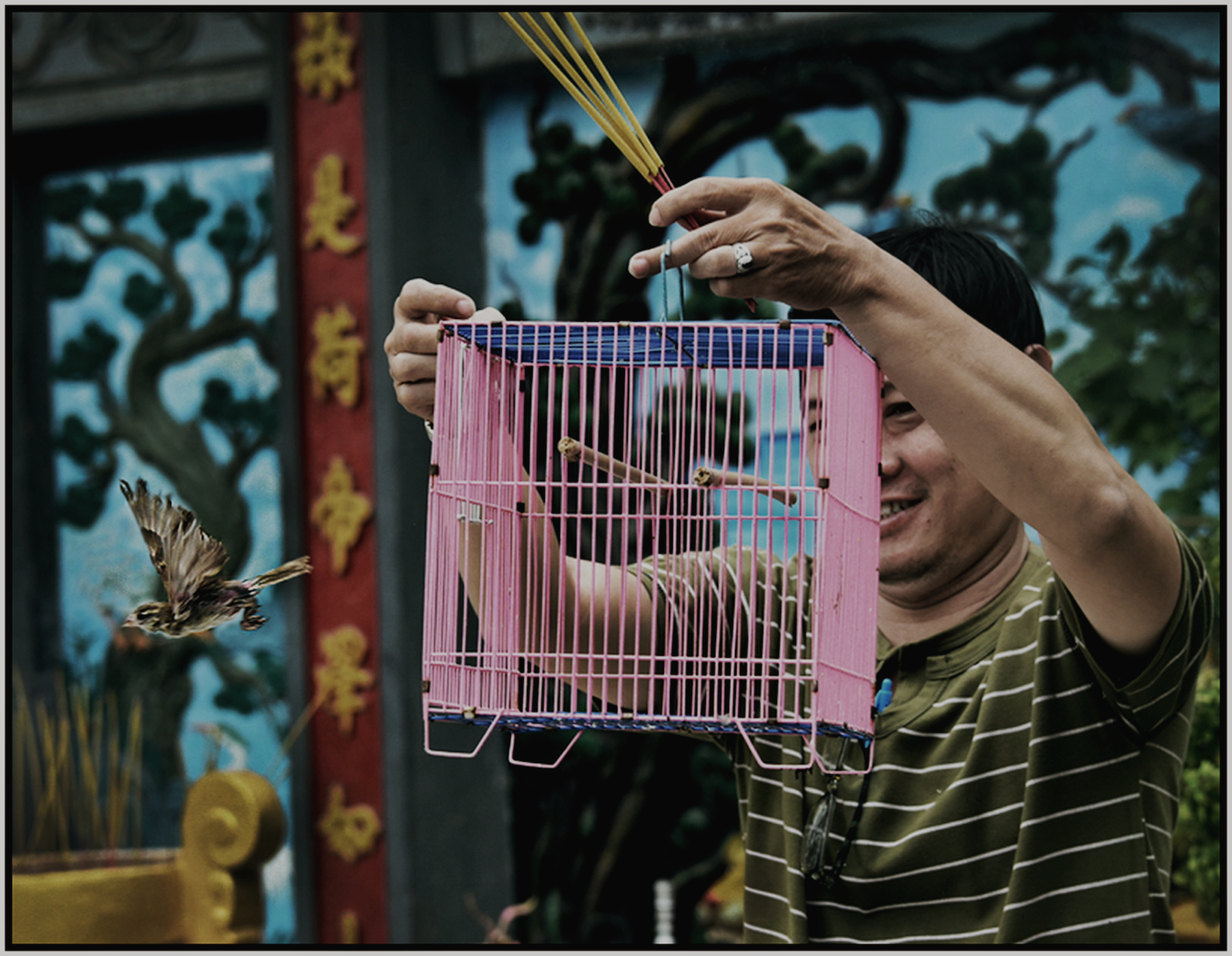  “Great Man” Buddhist Temple. &nbsp;A member contributes to his temple and receives several birds in a cage, which he then frees. Saigon/HCMC, Dec. 2015. #4441 