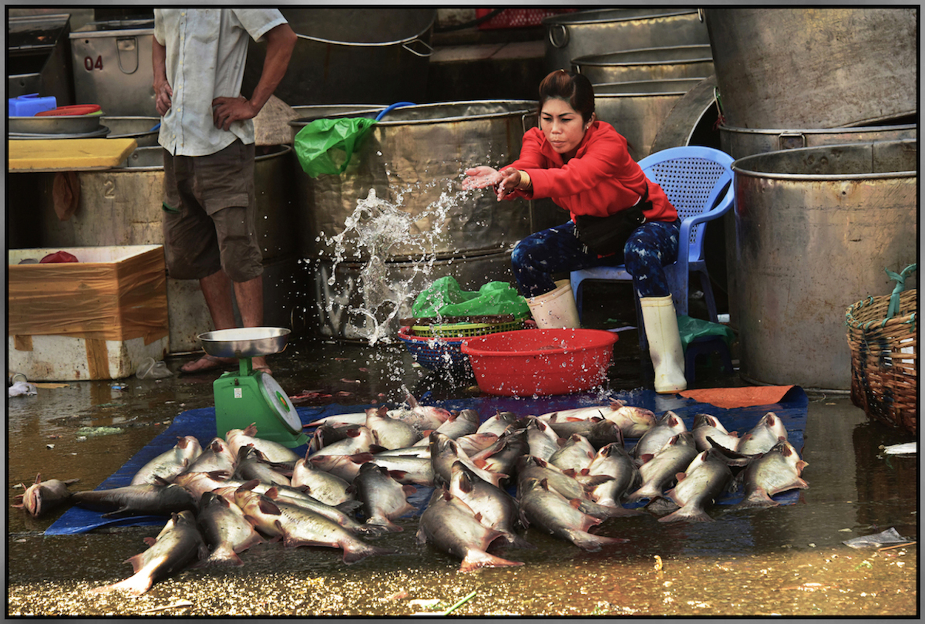  Merchant displays her fish for sale, on a hot afternoon, 105 degrees F. Binh Diem Market, Saigon/HCMC, Dec. 2015.&nbsp;#7814&nbsp; 