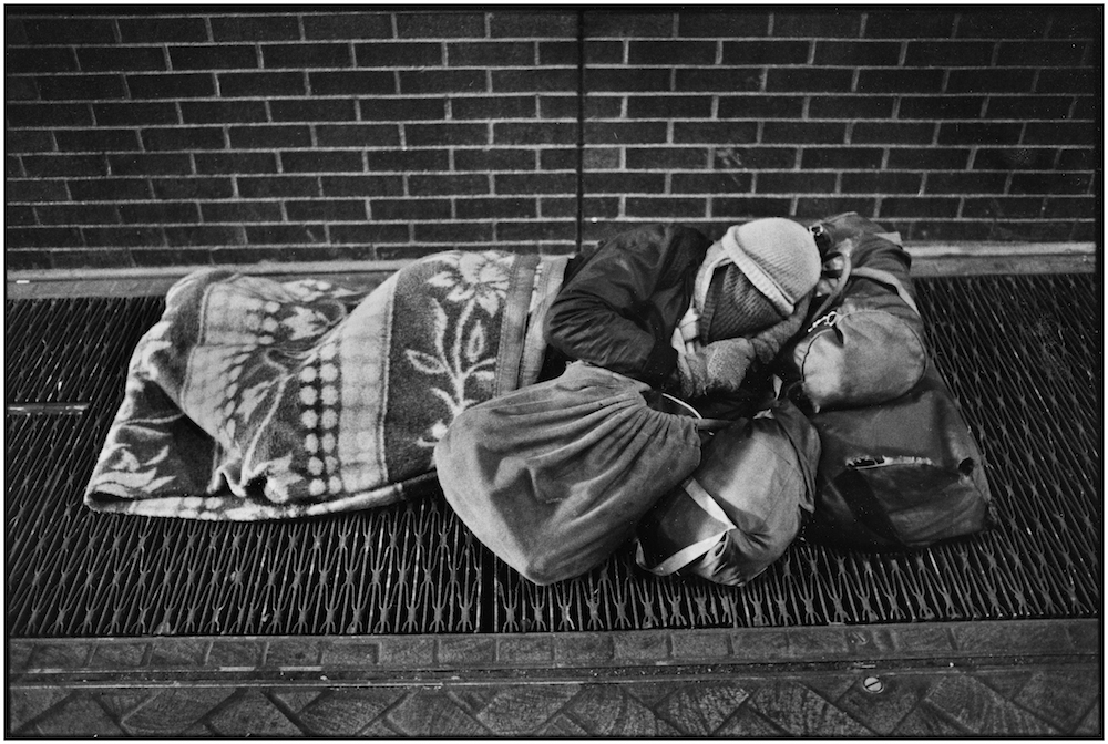 Keeping warm on sidewalk grating.