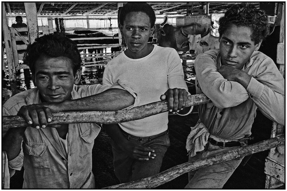 CUBA-DAIRY FARMERS---1968 - Copy copy.jpg