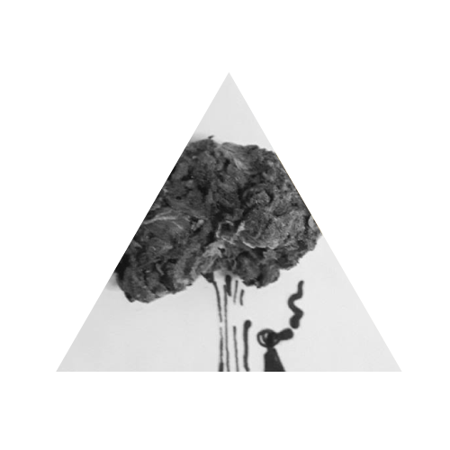 Ina.png