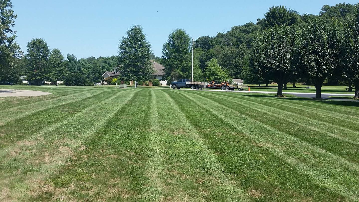 Large mowing and trimming job in Springfield