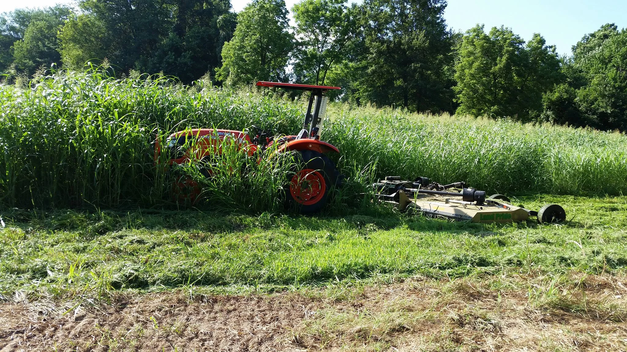 Brush hogging overgrown Johnson Grass by Sequiota Park in Springfield.