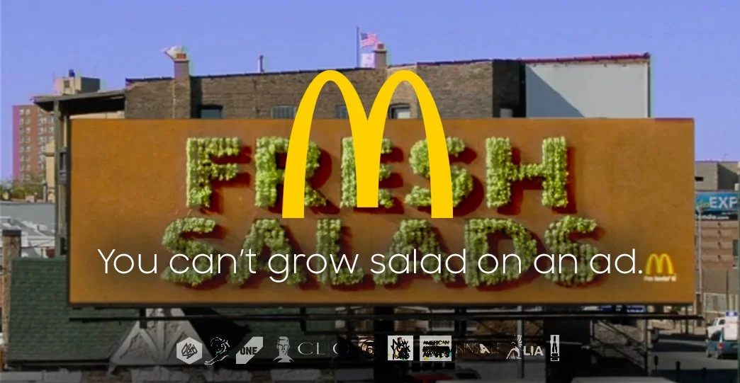 mcd salad sm .jpg