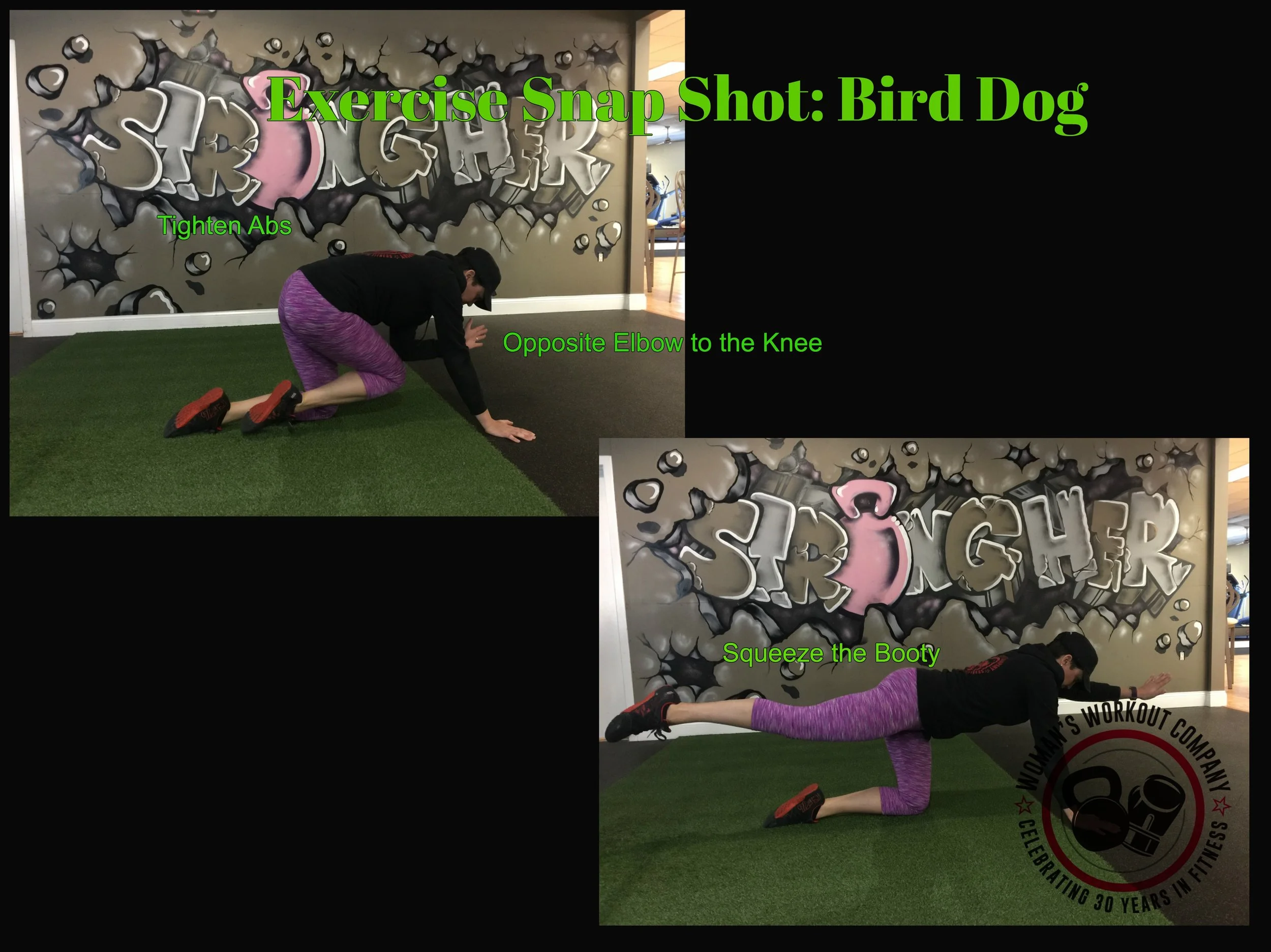 BirdDog.jpg