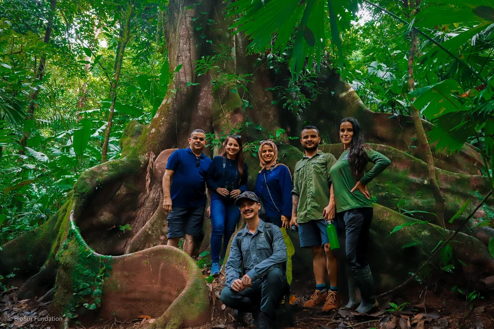 Building Costa Rica’s First Native Stingless Bee Sanctuary