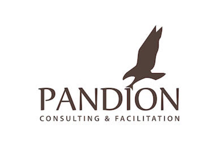Pandion Consulting (Copy)