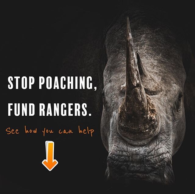 Today we are very excited for the launch of our Fund a Ranger Program and for the next three weeks EVERY dollar up to $20,000 will be matched to DOUBLE your impact! Link in bio @atconservationfund 
THE ISSUE: There has been a massive increase in glob