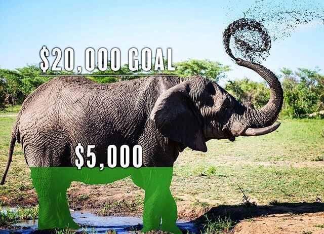 Fund a Ranger Update: We're 25% of the way to our fundraising goal!!! We have another two weeks to raise $20,000 and every dollar up to $20,000 matched. Let's get that 40k to help get rangers back on the job of protecting endangered species from poac