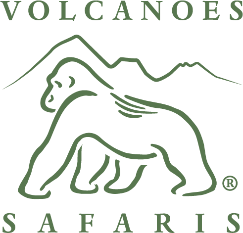 Volcanoes-Safaris-Logo.png