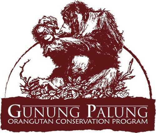 Gunung Palung Orangutan Conservation Program (Copy)