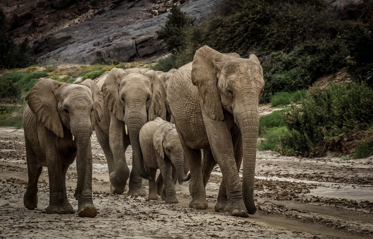 Photo: Ultimate Safaris