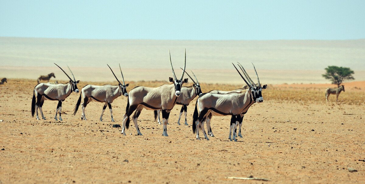 Photo: Ultimate Safaris