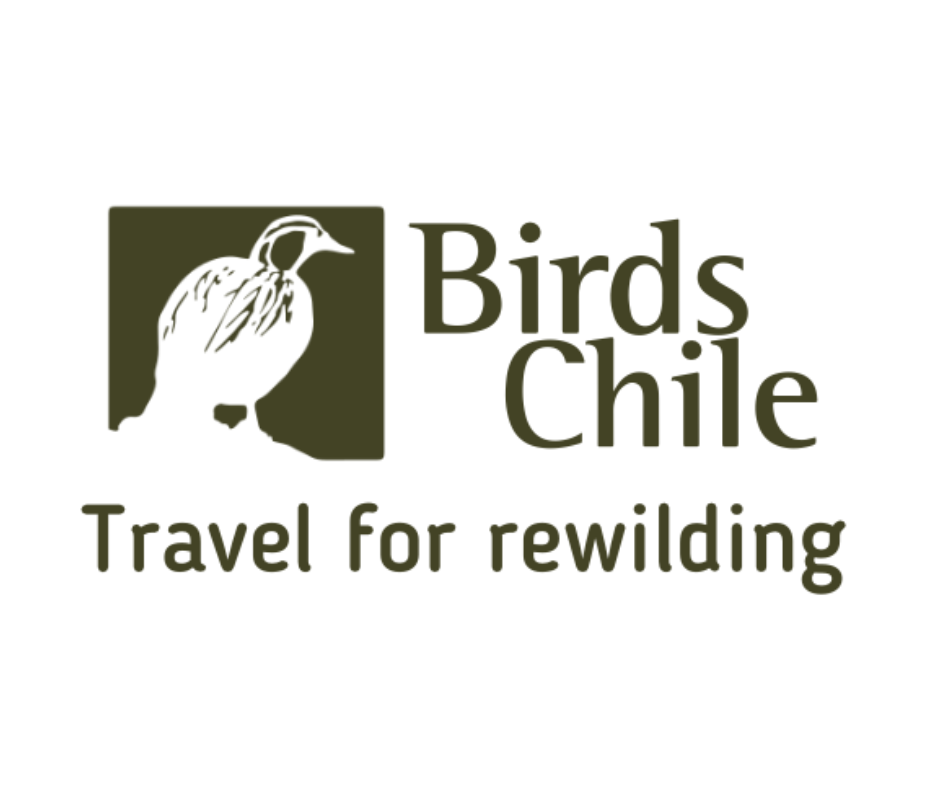 Birds Chile ATCF Member