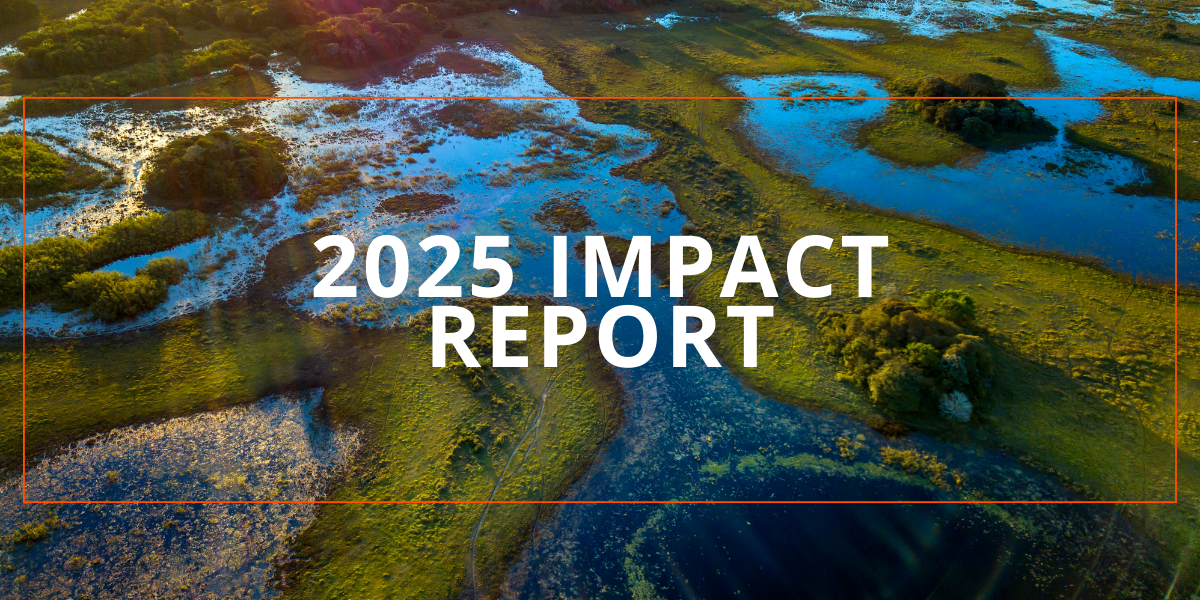 2025 Impact Report