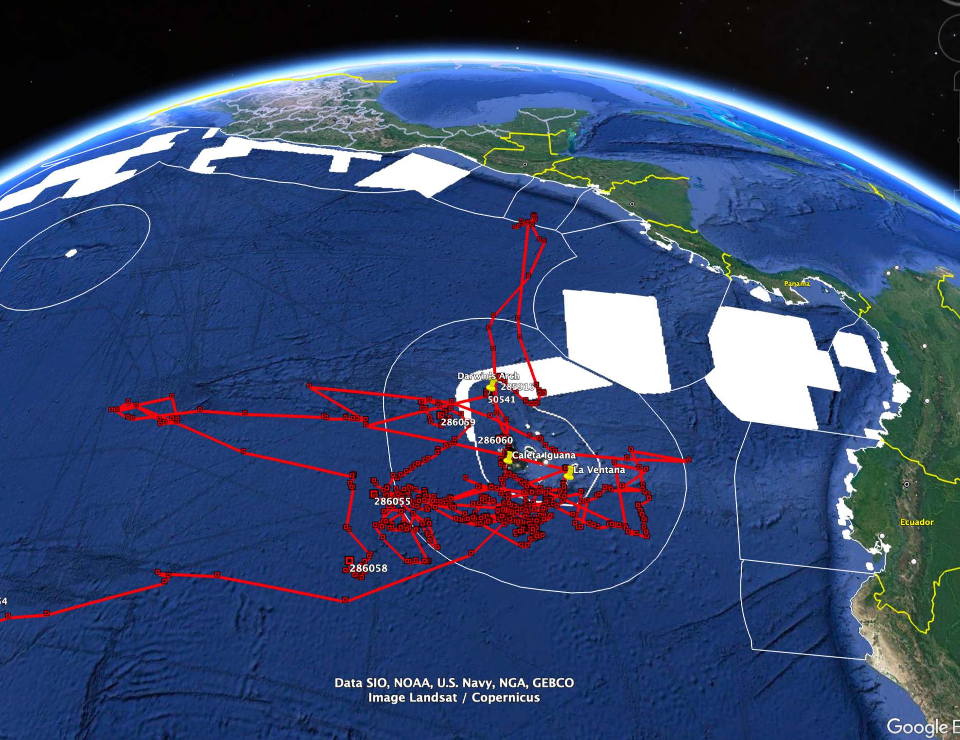 Image+5.+Tracks+of+7+whale+sharks+tagged+in+2026+%28updated+Sept+2026%29.png