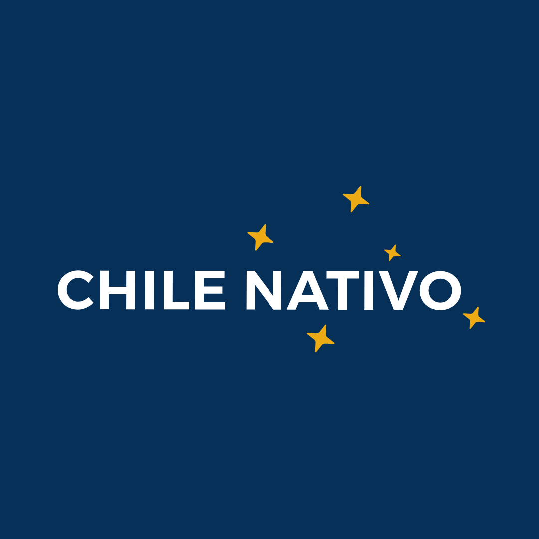 Logotipo Chile Nativo-estrellas amarillas (1).png