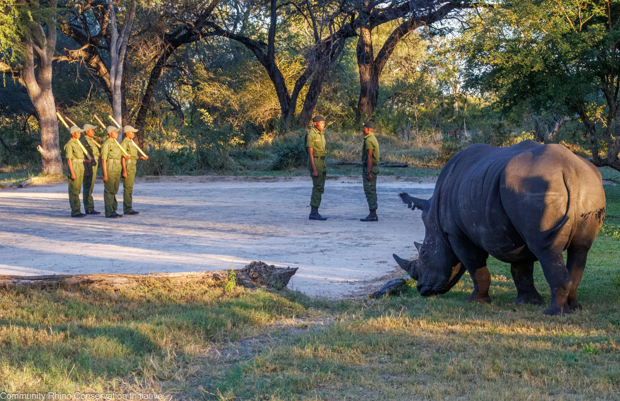 women in training in zimbabwe