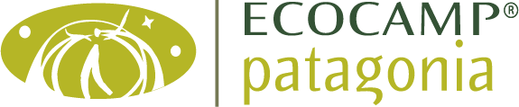 Logo EcoCamp Color PNG.png
